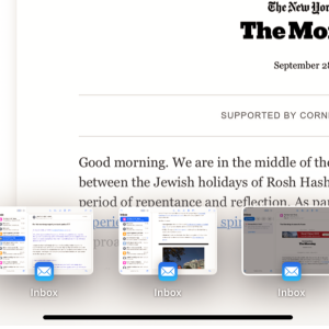 Mail Cluttered with Clippings .png