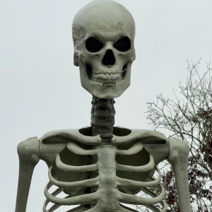 IMG_0635.jpeg
