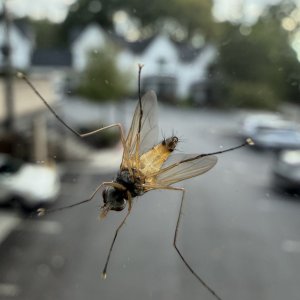 IMG_5757.jpeg