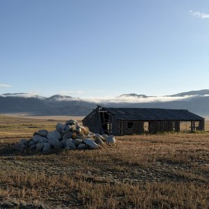 IMG_5406.jpeg