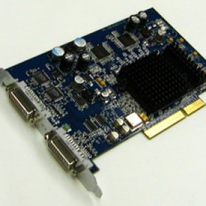 9650.jpg