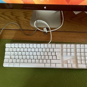 IMG_2833.jpeg