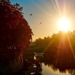 Tiber.jpeg
