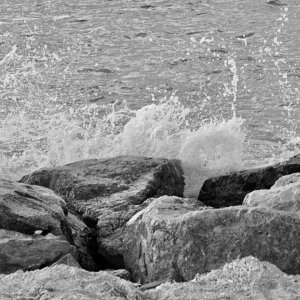 DSC_0096.jpeg