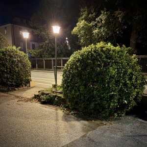 IMG_6855.jpeg