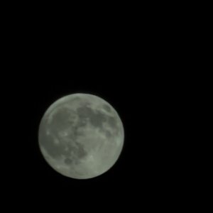 IMG_0101.jpeg
