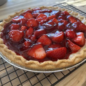 IMG_2065.jpeg
