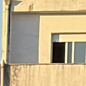IMG_0215.png