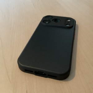 IMG_2969.jpeg