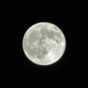 IMG_9150.jpeg