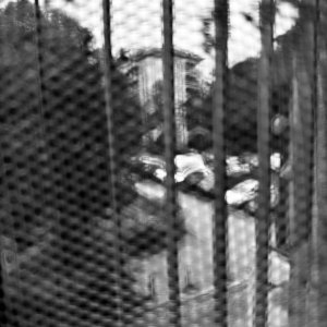 IMG_0297.jpeg