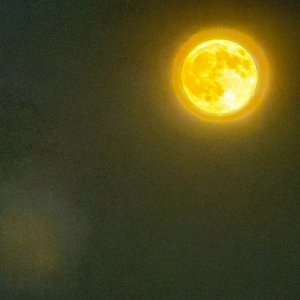 IMG_1866.jpeg