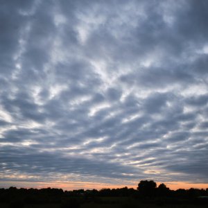 DSCF9171.jpg