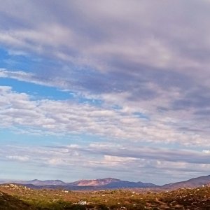 IMG_20251009_083923 crop2x2.jpg