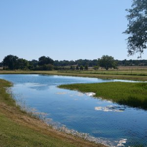 DSCF0506.jpg