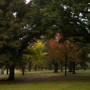 2025-10-13 ~ A7C05940.jpg