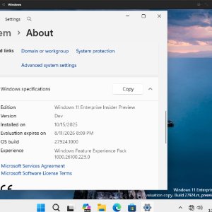 Windows11_27924.jpg