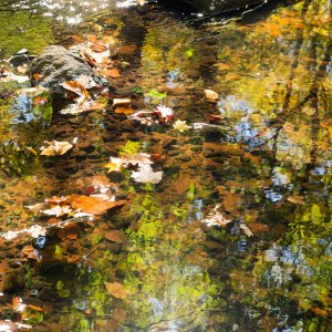 PA170020_DxO2k.jpg