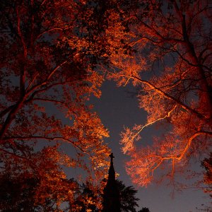 2025-10-16 ~ R52_4631.jpg