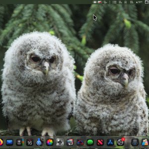 2025-10-16 19.22.49.jpeg