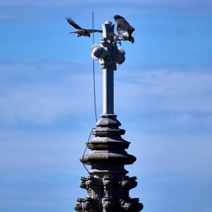 2025-10-17 ~ R52_5275.jpeg