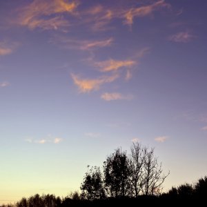 IMG_0917.jpeg