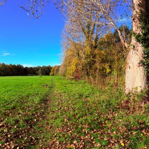 IMG_0933.jpeg