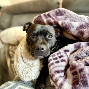 IMG_0057.jpeg