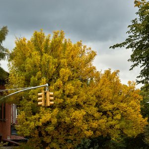 2025-10-20 ~ R52_5590.jpg