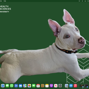 Screen Shot 2025-10-22 at 15.18.52.png