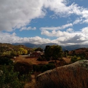 IMG_20251015_095319 cropx.jpg