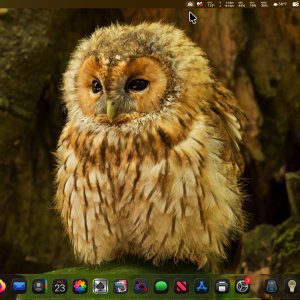 2025-10-23 19.42.48.jpeg