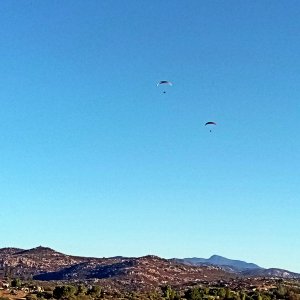 IMG_20251011_081954 cropx2.jpg