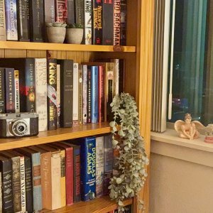 cornerbookshelf - 1.jpeg