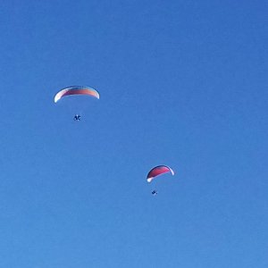 IMG_20251011_082024 cropx.jpg