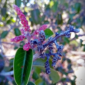 IMG_20251018_092057 xv.jpg