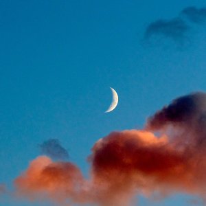 2025-10-26 ~ R52_7097.jpg