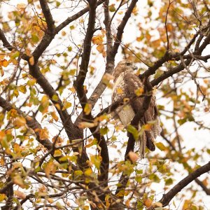 2025-10-25 ~ R52_6792.jpg