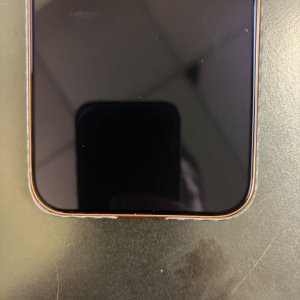 IMG_5408 (Large).JPG