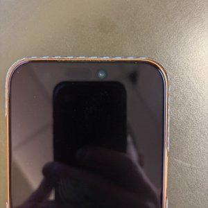 IMG_5409 (Large).JPG