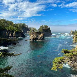 Cape_Flattery_Olympic_Peninsula_1000p_19.jpg
