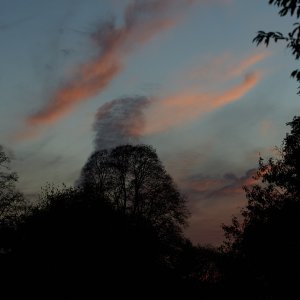 2025-11-02 ~ R52_8637.jpg