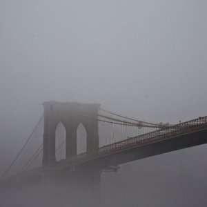 2018-04-04 | IMGP7141.jpg