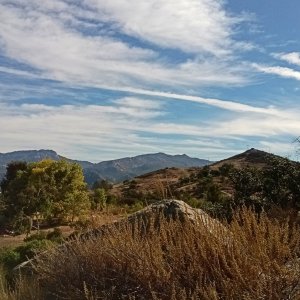 IMG_20251103_085549 cropx.jpg