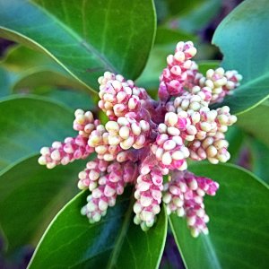 IMG_20251101_093957 xv.jpg