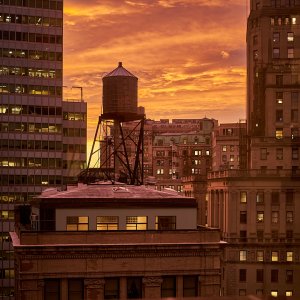 2025-11-05 ~ A7C07324.jpg