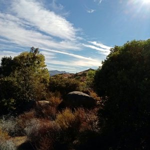 IMG_20251103_085655 x.jpg