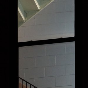 2025-11-04 ~ R52_9185.jpeg