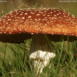 Screenshot 2025-11-08 at 2.42.03 PM.png