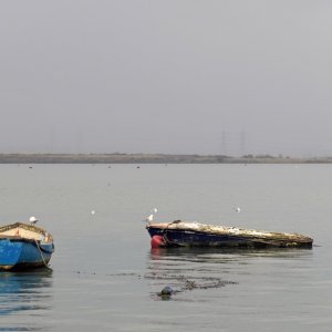 Moorings off The Strand.JPG